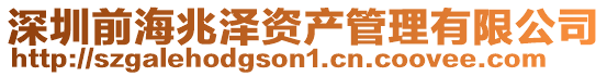 深圳前海兆澤資產管理有限公司