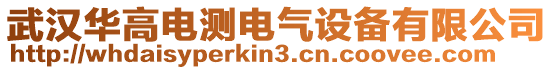 武漢華高電測電氣設備有限公司