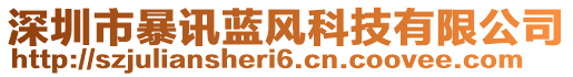 深圳市暴訊藍(lán)風(fēng)科技有限公司