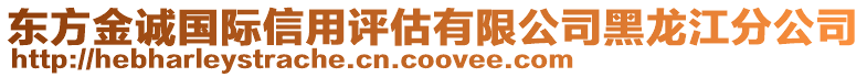 東方金誠國際信用評(píng)估有限公司黑龍江分公司