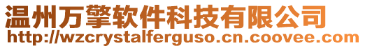 溫州萬擎軟件科技有限公司