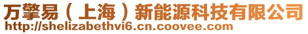 萬擎易(上海)新能源科技有限公司