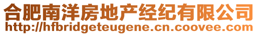 合肥南洋房地產經紀有限公司