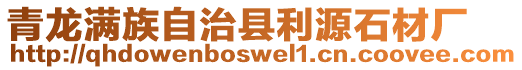 青龍滿族自治縣利源石材廠