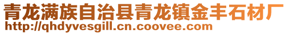 青龍滿族自治縣青龍鎮(zhèn)金豐石材廠