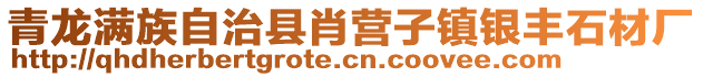 青龍滿族自治縣肖營(yíng)子鎮(zhèn)銀豐石材廠