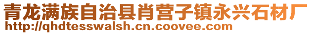 青龍滿族自治縣肖營子鎮永興石材廠