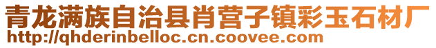 青龍滿族自治縣肖營子鎮彩玉石材廠