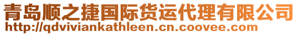 青島順之捷國際貨運代理有限公司