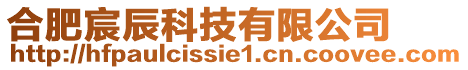 合肥宸辰科技有限公司