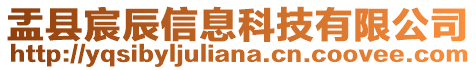 盂縣宸辰信息科技有限公司