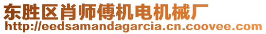 東勝區(qū)肖師傅機電機械廠