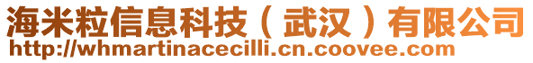 海米粒信息科技(武漢)有限公司