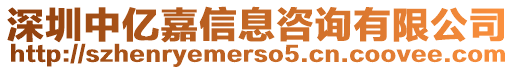 深圳中亿嘉信息咨询有限公司