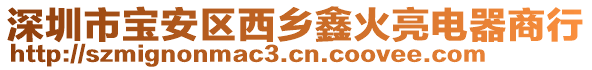 深圳市寶安區(qū)西鄉(xiāng)鑫火亮電器商行