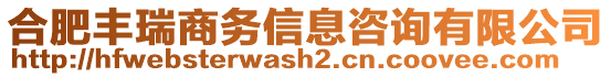 合肥豐瑞商務(wù)信息咨詢有限公司