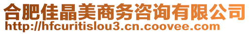 合肥佳晶美商務咨詢有限公司