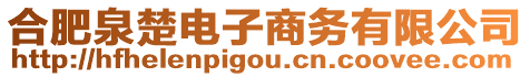 合肥泉楚電子商務有限公司