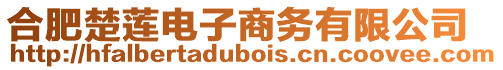 合肥楚蓮電子商務(wù)有限公司