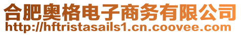 合肥奧格電子商務有限公司