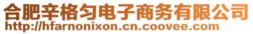 合肥辛格勻電子商務有限公司