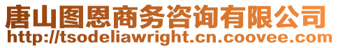 唐山圖恩商務咨詢有限公司
