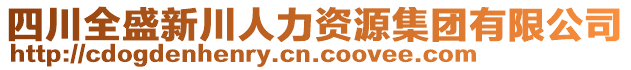 四川全盛新川人力資源集團有限公司