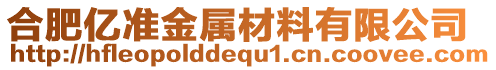 合肥億準金屬材料有限公司