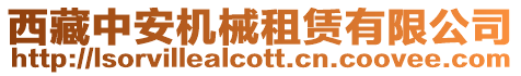 西藏中安機(jī)械租賃有限公司
