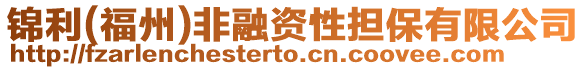 錦利(福州)非融資性擔(dān)保有限公司