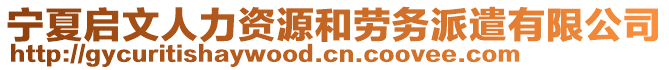 寧夏啟文人力資源和勞務(wù)派遣有限公司