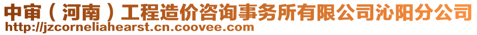 中審（河南）工程造價咨詢事務所有限公司沁陽分公司