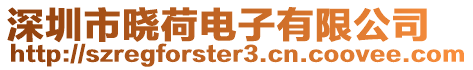 深圳市曉荷電子有限公司