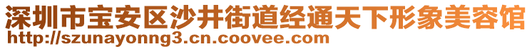 深圳市寶安區沙井街道經通天下形象美容館