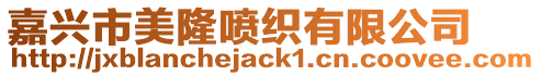 嘉興市美隆噴織有限公司