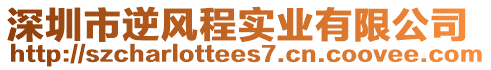 深圳市逆風程實業有限公司