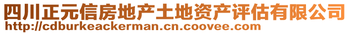 四川正元信房地產(chǎn)土地資產(chǎn)評(píng)估有限公司