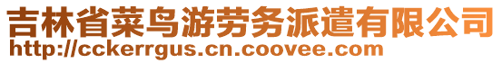 吉林省菜鳥游勞務派遣有限公司