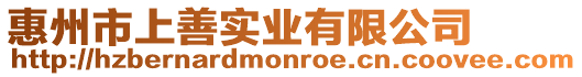 惠州市上善實業有限公司