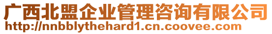 廣西北盟企業(yè)管理咨詢有限公司