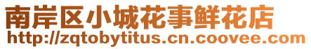 南岸區(qū)小城花事鮮花店