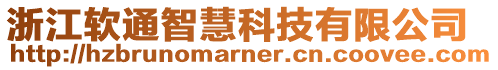 浙江軟通智慧科技有限公司