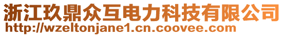 浙江玖鼎眾互電力科技有限公司