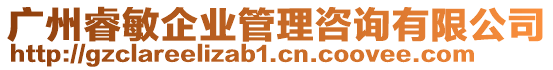 廣州睿敏企業(yè)管理咨詢有限公司