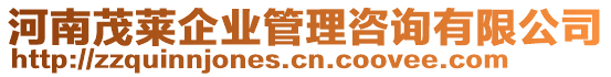 河南茂萊企業(yè)管理咨詢有限公司