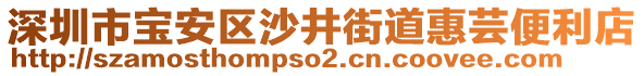 深圳市寶安區(qū)沙井街道惠蕓便利店