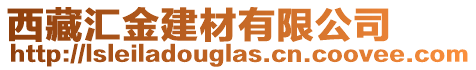 西藏匯金建材有限公司