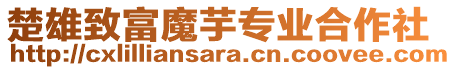 楚雄致富魔芋專業合作社