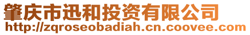 肇慶市迅和投資有限公司