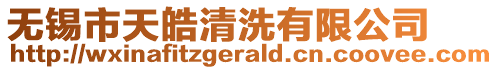 無錫市天皓清洗有限公司